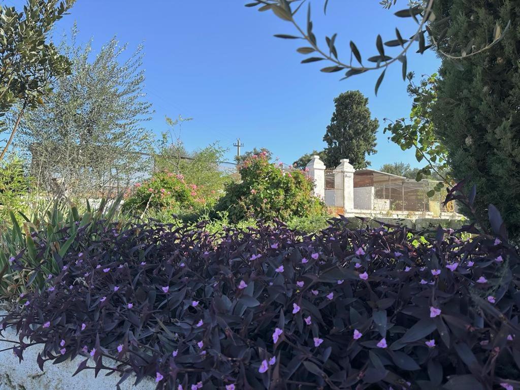 Masseria Strada Agriturismo 지노사 외부 사진